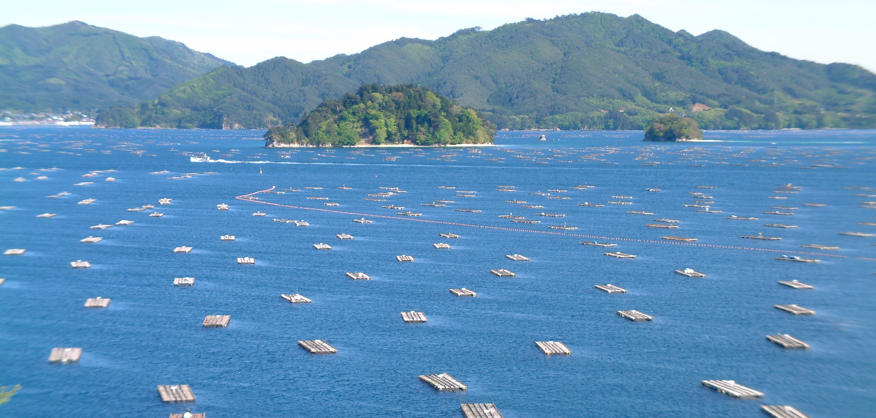青々とした海に浮かぶ養殖筏と、遠くに広がる緑豊かな山々の風景